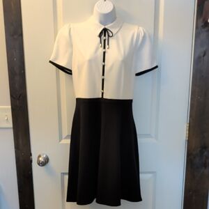 Karl Lagerfeld Black and White Scuba Crepe Knee Length Dress